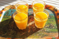 Orange juice from our own oranges